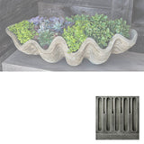 Campania South Seas Shell Planter, Large - W-106