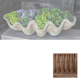 Campania South Seas Shell Planter, Large - W-106