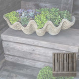 Campania South Seas Shell Planter, Large - W-106