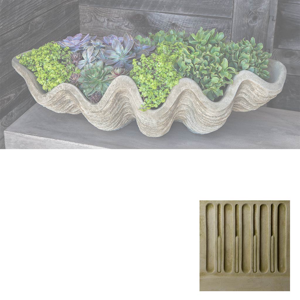 Campania South Seas Shell Planter, Large - W-106