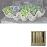 Campania South Seas Shell Planter, Large - W-106