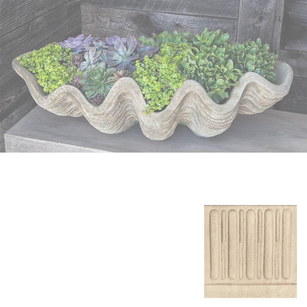 Campania South Seas Shell Planter, Large - W-106