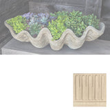Campania South Seas Shell Planter, Large - W-106