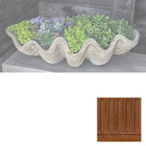 Campania South Seas Shell Planter, Large - W-106