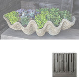 Campania South Seas Shell Planter, Large - W-106
