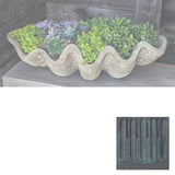 Campania South Seas Shell Planter, Large - W-106