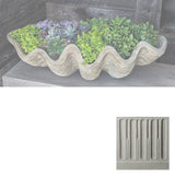 Campania South Seas Shell Planter, Large - W-106