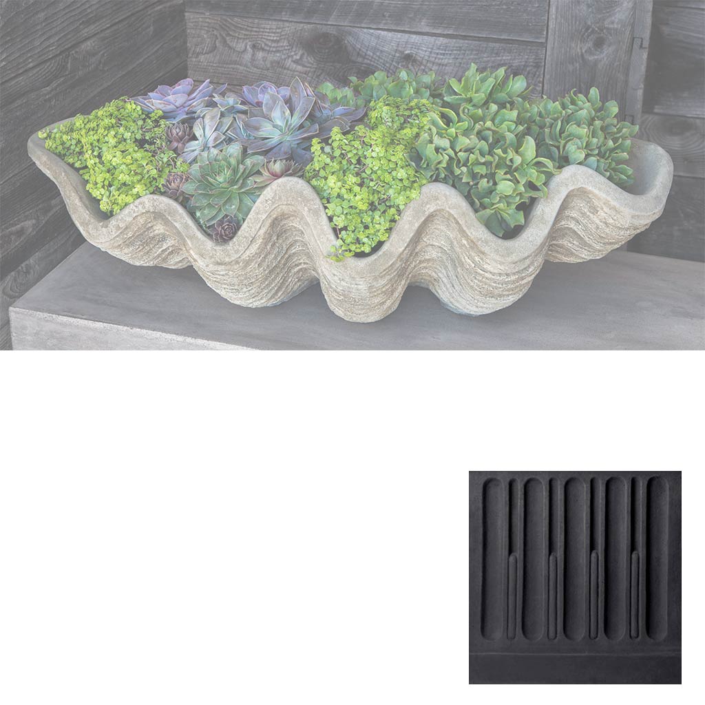 Campania South Seas Shell Planter, Large - W-106