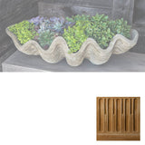 Campania South Seas Shell Planter, Large - W-106
