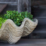 Campania South Seas Shell Planter, Large - W-106