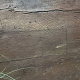 Universal Rocks Woodland 46" x 20' Wall Panel – WOODLAND-PANEL