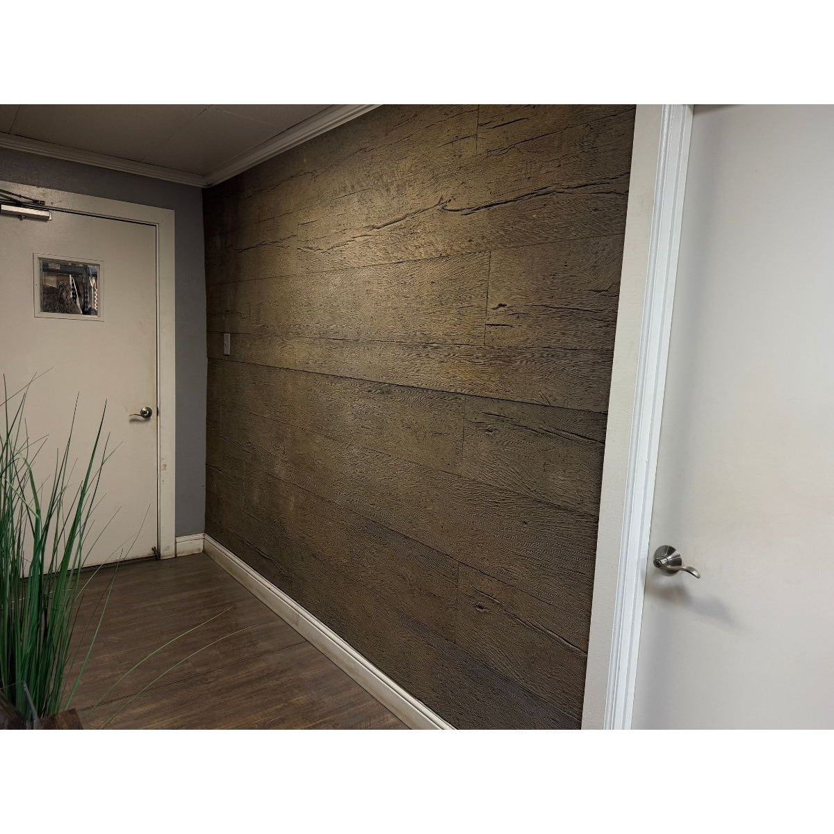 Universal Rocks Woodland 46" x 20' Wall Panel – WOODLAND-PANEL