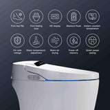 Premium Automatic Single-Piece Home Smart Toilet With Bidet, Foot Sensor And Heated Seat (96152473)